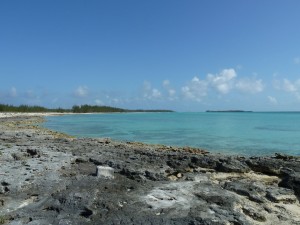 Rocky shore; Eulethera I., The Bahamas