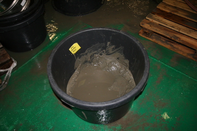 A typical grab sample. We carefully rinse the mud through a 1 mm sieve, collecting the animals within it. 