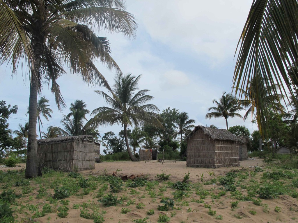 Traditional Mozambican family housing with huts arranged in a circle around a communal central area