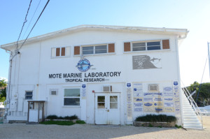 The lab building at Mote (summerland Key)