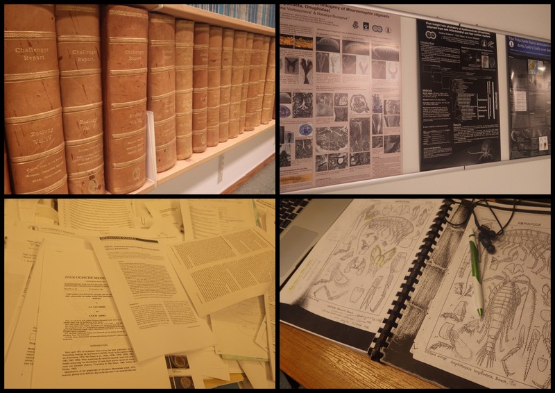 Scientific publications: From leather bound tomes to printouts, taxonomic keys in frequent use, presentations and posters