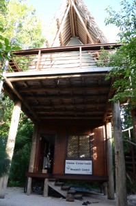 The "tree house", headquarters of the Conservation and Research project of Vamizi Island