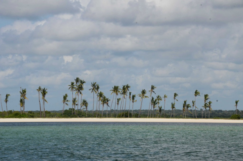 The pristine coastline of Palma in northern Mozambique.