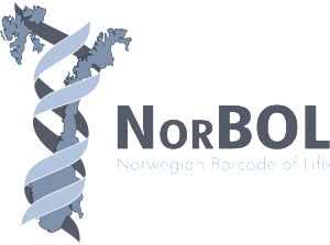 norbol logo