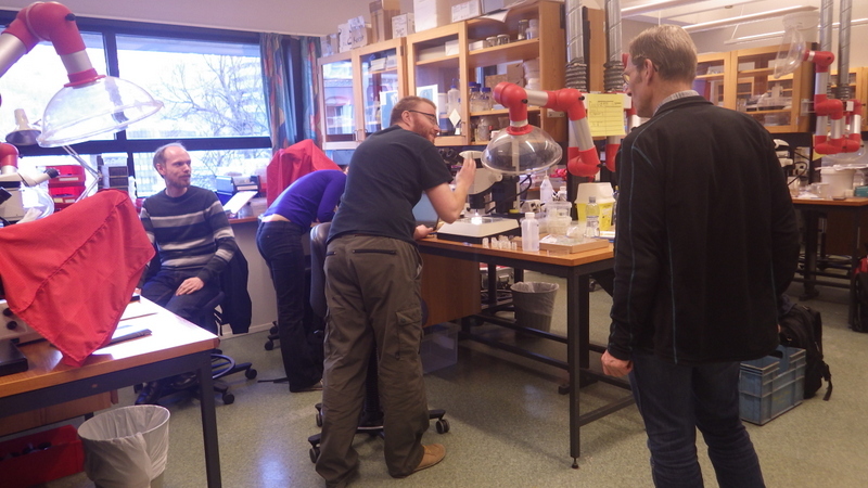 Snaphshot from one of the workshops during the porject Polychaete diversity in Norwegian Waters (PolyNor)