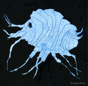 Ferner had no idea in advance that an  amphipod had personality...  © Pippip Ferner