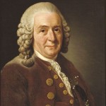  Carl von Linné 1707–1778 painted by A. Roslin. (Wikimedia)