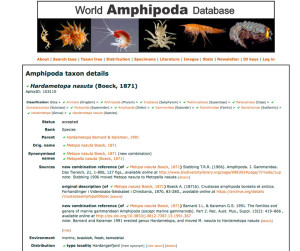 Screenshot from World Amphipoda Database
