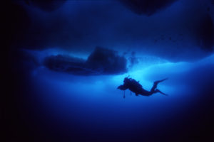 A diver under the sea ice. Photo: Geir Johnsen, NTNU