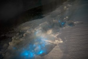 Bioluminescent dinoflagellates shining through the winter sea ice in Kongsfjorden. Photo: Geir Johnsen, NTNU