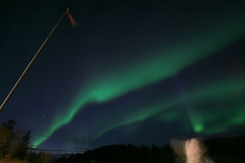 Aurora borealis and a hooded tropical visitor. Photo: K.Kongshavn