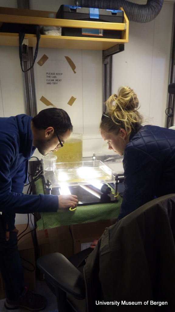 Luis an Marie studying a plankton sample