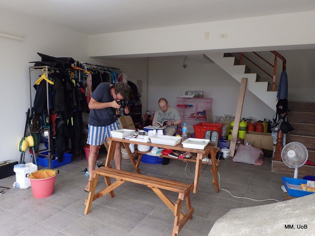 The garage of our hostel in Penghu, transformed into a wet lab for a week