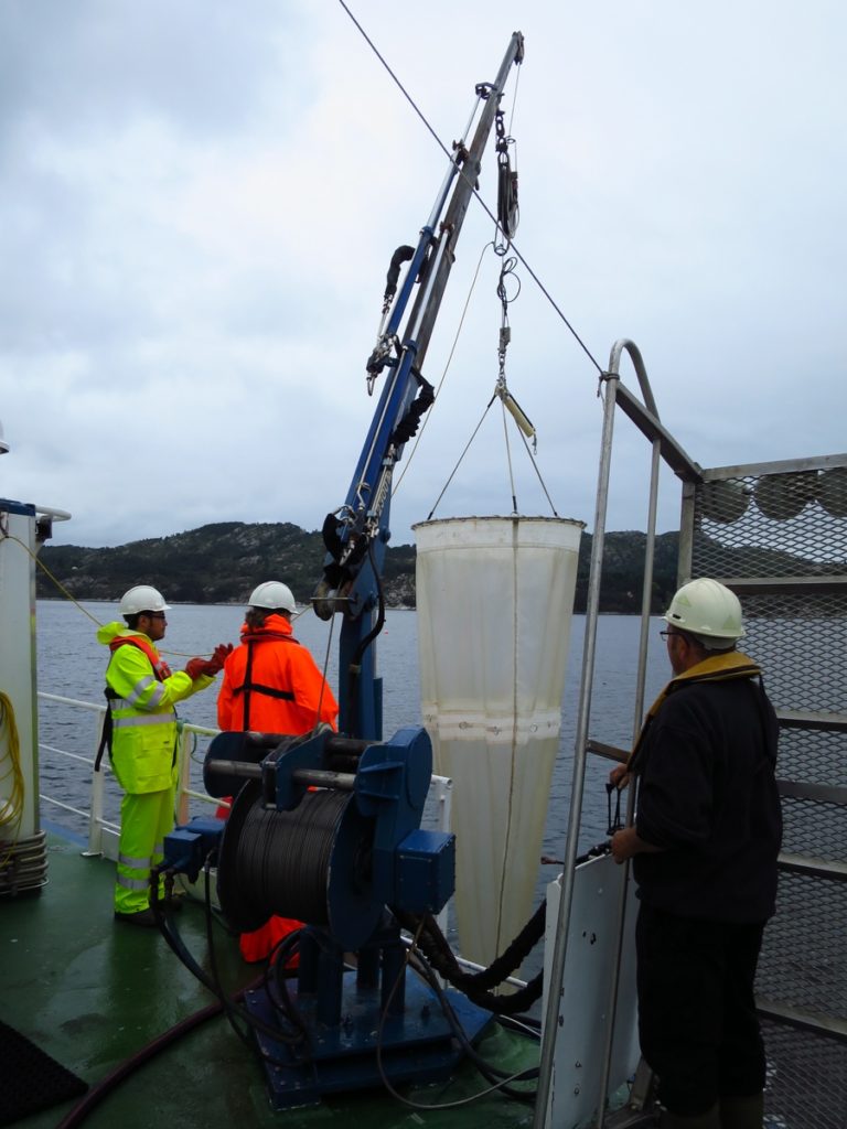 Deploying the net with help of the crew from RV "Hans Brattstrøm"