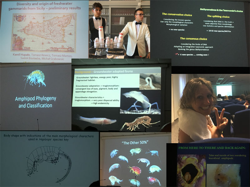 Most important: the science of amphipods. Loads of interesting talks and posters! (all photos: AH Tandberg)