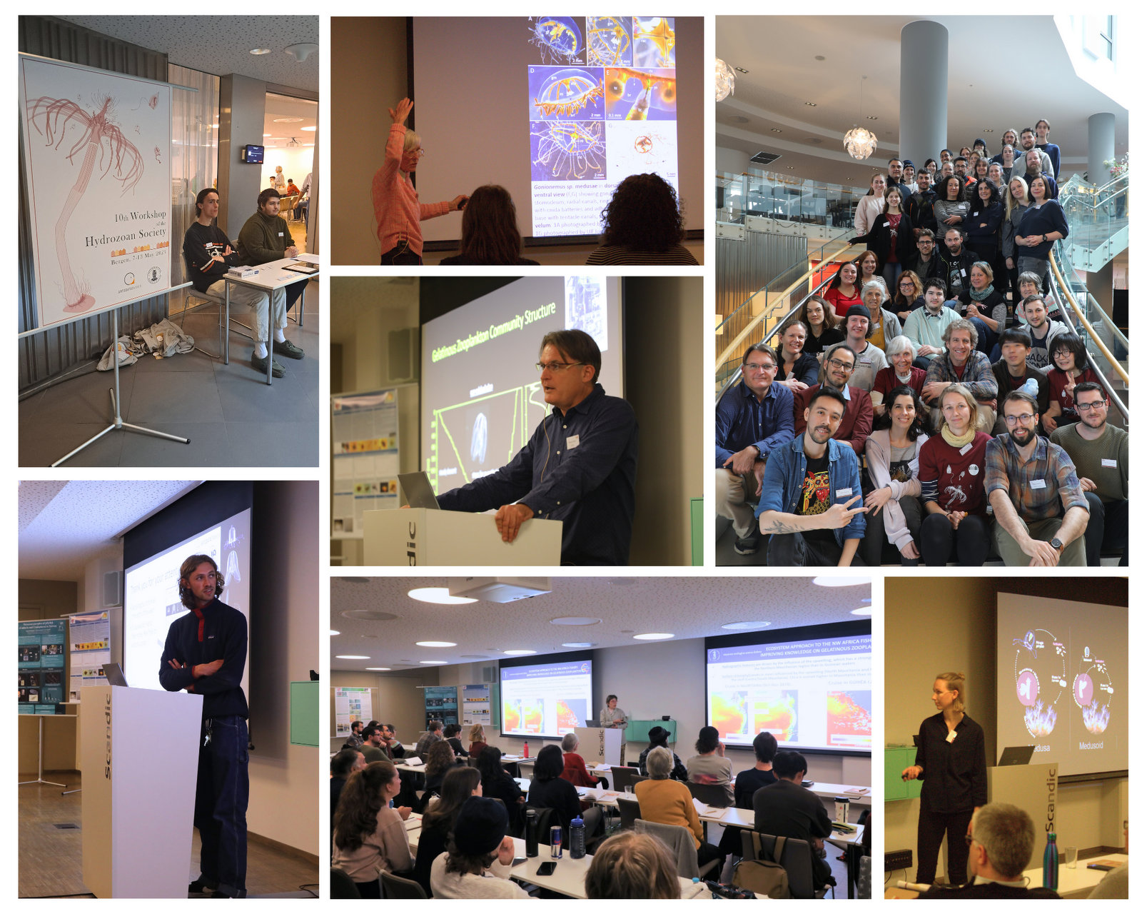 A collage of images showing participants presenting at the venue