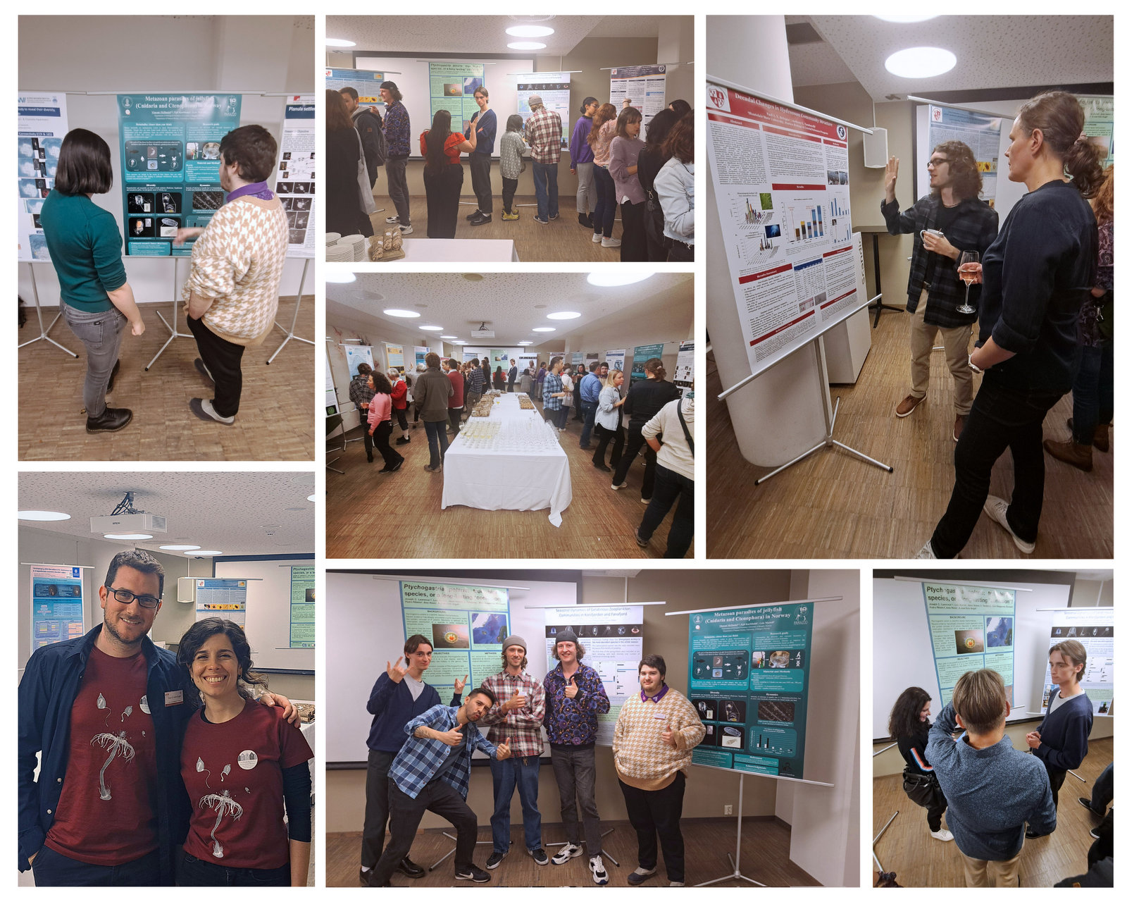 Several images showing people studying large (A0) scientific posters presenting results of their research and projects.