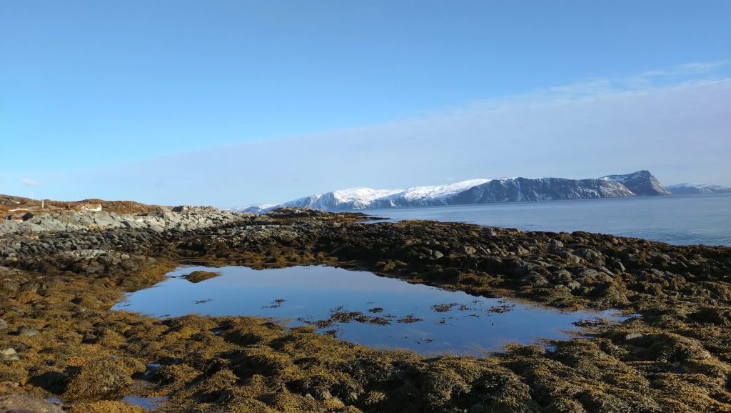 scenic shot of tidepool and snow covered mountains