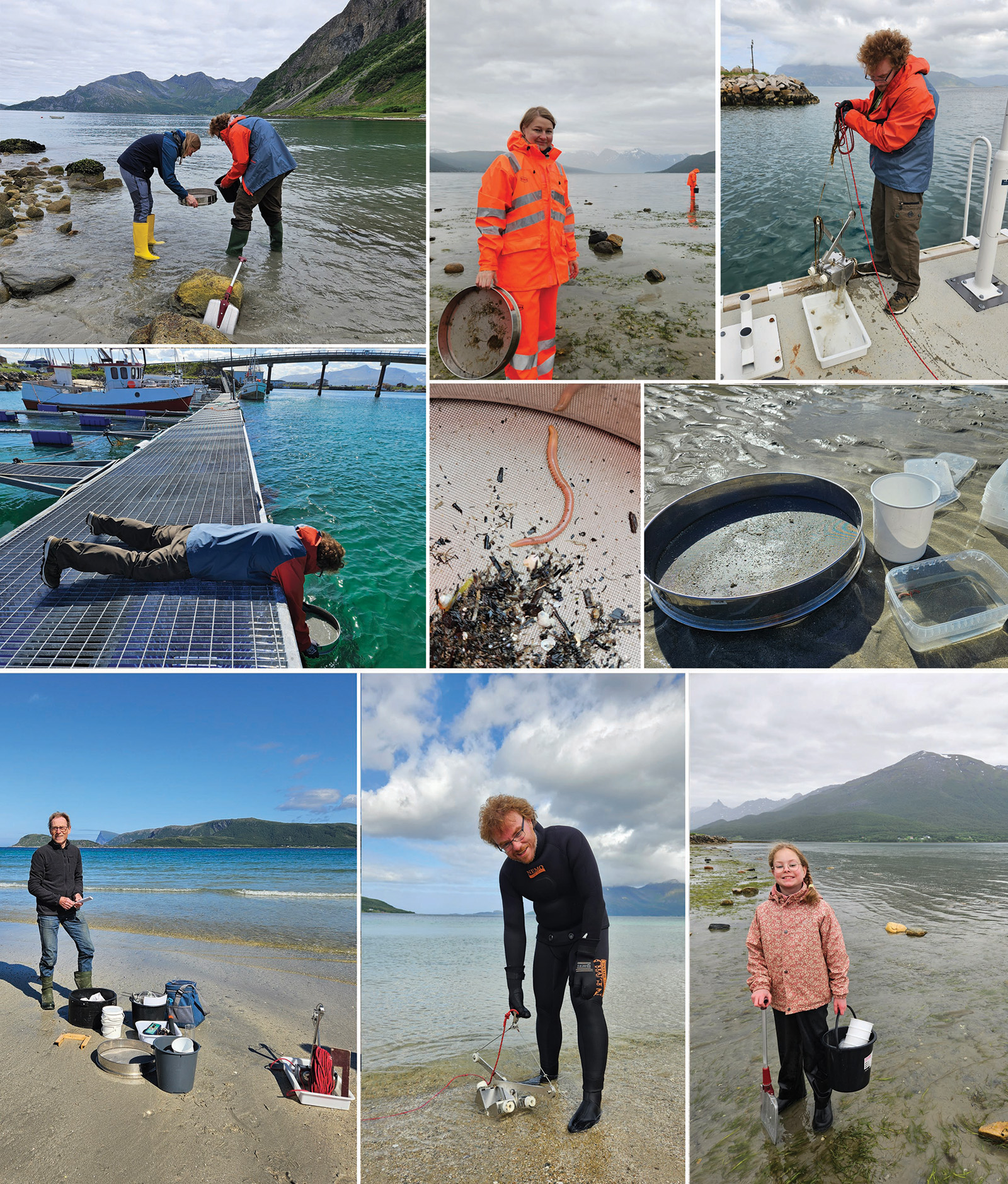 a collage of people sampling marine worms from piers and beaches