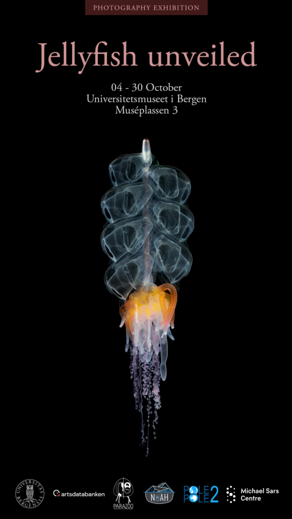 poster for the exhibition; there's a black background and a beautiful jellyfish in the center. 