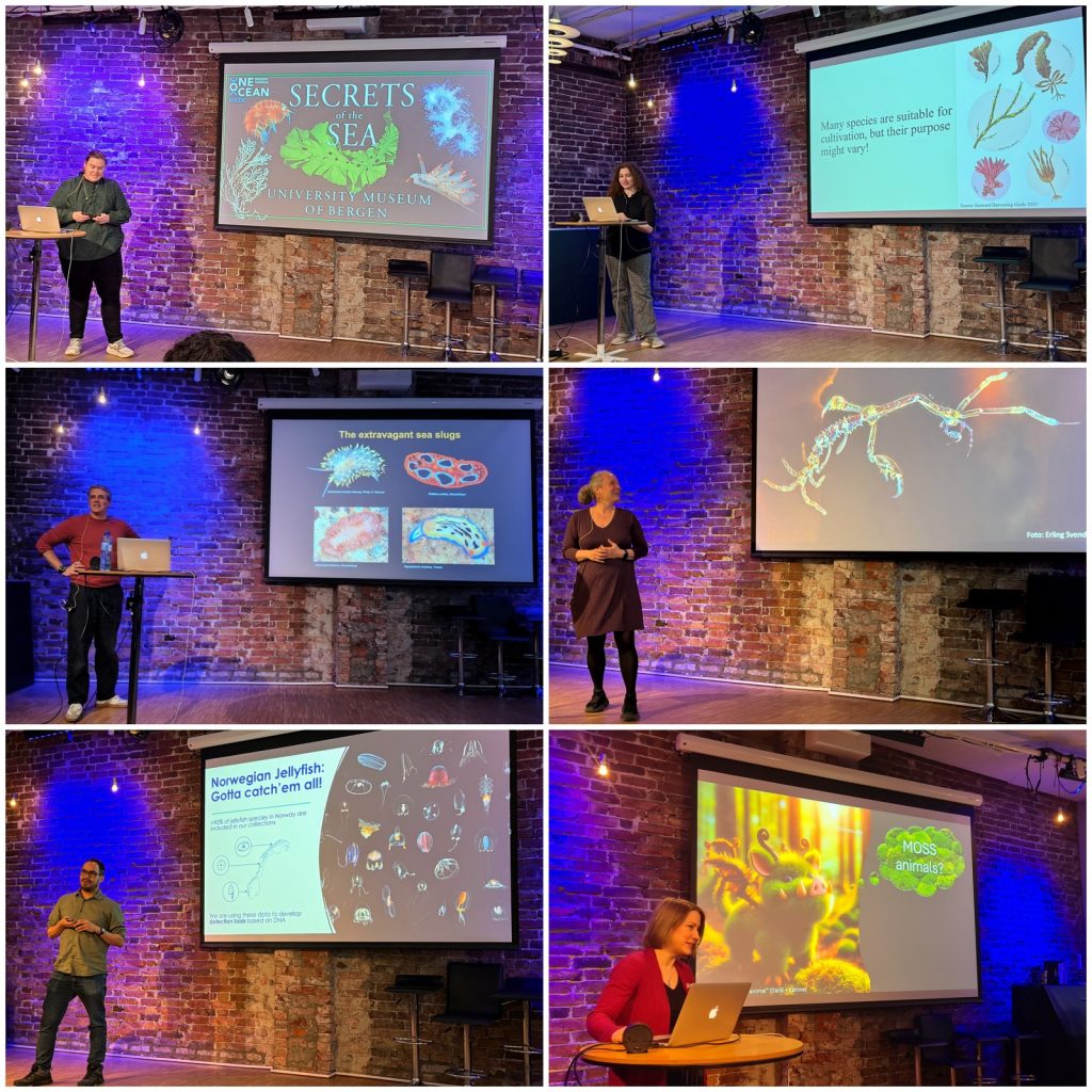 Six images showing the people who took the stage, each in front of one of their slides