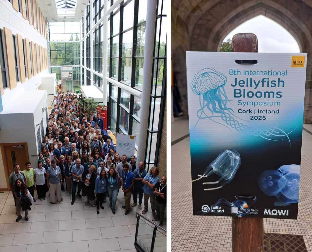 About 100 people in a group photo taken in an atrium, and a picture of the conference poster, which has different jellyfish on it